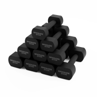 Набор термополиуретановых гантелей BRONZE GYM, 1-10 кг